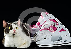 White with gray spots green-eyed cat looks warily up next to pin