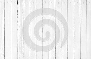 White gray wooden wall background, texture of bark wood with old natural pattern and high resolution for design art work
