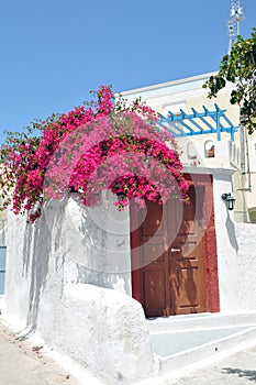 White greek bungalow with pink bougainvillea, santorin