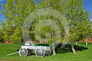 White and Green Buckboard