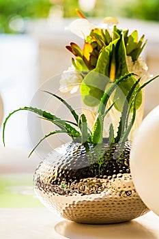 White and green flower display for table setting at Spring Festival event