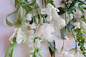 White and Green Flowers