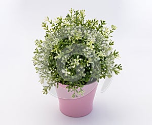 White - green plastic decorative flower in a pink plastic pot is on a white background