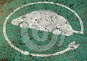 White and green symbol of electric car charging, on asphalt