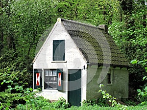 White and green tiny house in green surroundings photo