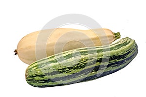 White and green vegetable marrow