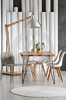 Designer dining room with lamp