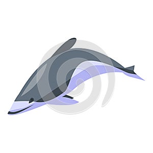 White grey dolphin icon, isometric style
