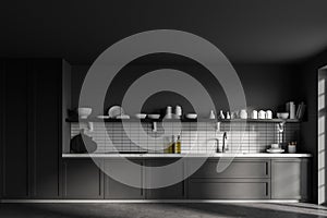 White and grey kitchen interior with cupboards