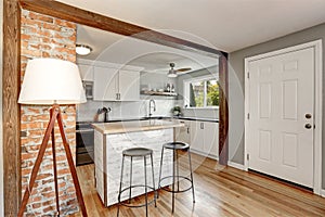 White and grey kitchen room interior