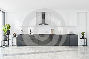 White, grey modular kitchen cabinet