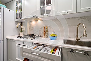 White and grey new modern well designed kitchen interior