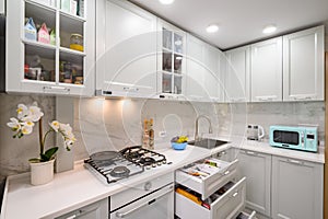 White and grey new modern well designed kitchen interior