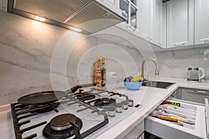 White and grey new modern well designed kitchen interior