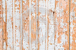 White grey wood old background