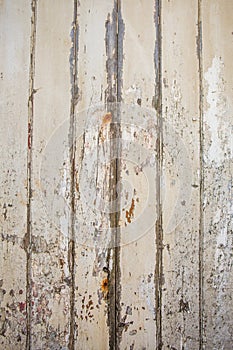 White?grey wood texture background with natural patterns