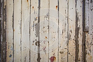 White/grey wood texture background with natural patterns