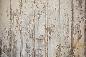 White/grey wood texture background with natural patterns