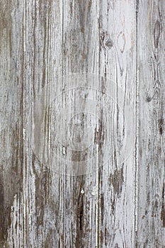 White/grey wood texture background with natural patterns. Floor.