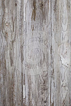 White/grey wood texture background with natural patterns. Floor.