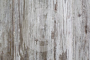 White/grey wood texture background with natural patterns. Floor.