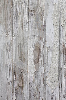 White/grey wood texture background with natural patterns. Floor.