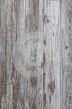 White/grey wood texture background with natural patterns. Floor.