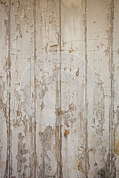 White/grey wood texture background with natural patterns