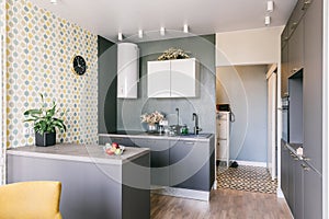 White grey yellow green color kitchen room organization