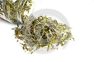 White ground dry thyme