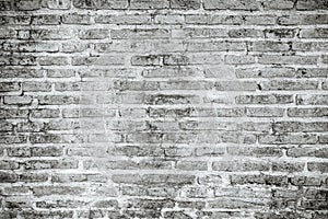 White grunge brick wall texture background