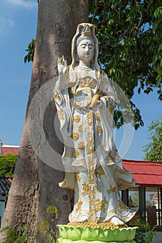 The white Guan Yin statue