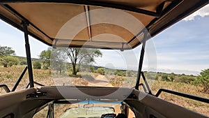 A white guy tourist stands in a moving safari jeep and looks around. The amazing nature of Africa.