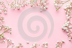 White gypsophila flowers or baby's breath flowers on pink background