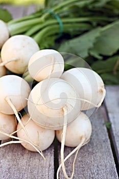 White Hakurei Turnips