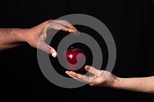 White hand gives apple to African hand