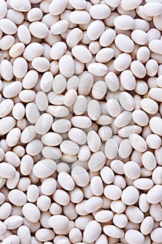 White Haricot beans