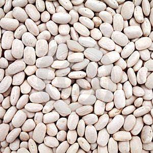 White haricot beans