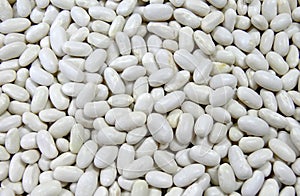 White haricot beans