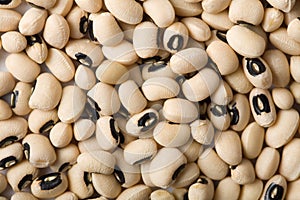 White haricot beans background