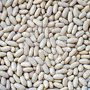 White haricot beans background