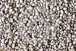 White haricot beans background