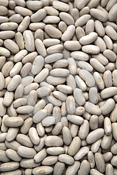 White haricot beans background.