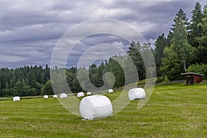 White hay bales in the Finnish countryside near Turku, Finland