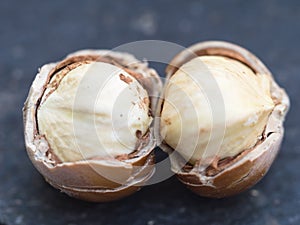 White Hazelnuts cores