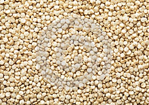 White healthy bolivian quinoa balanda grain seed textured background.Macro