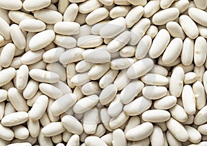 White healthy dry raw white bean seeds textured background.Macro