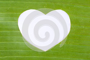 White heart in green banana leaf