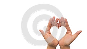 White heart on palm, love and health care concept,isolate and sign