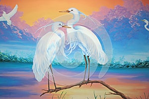 White herons